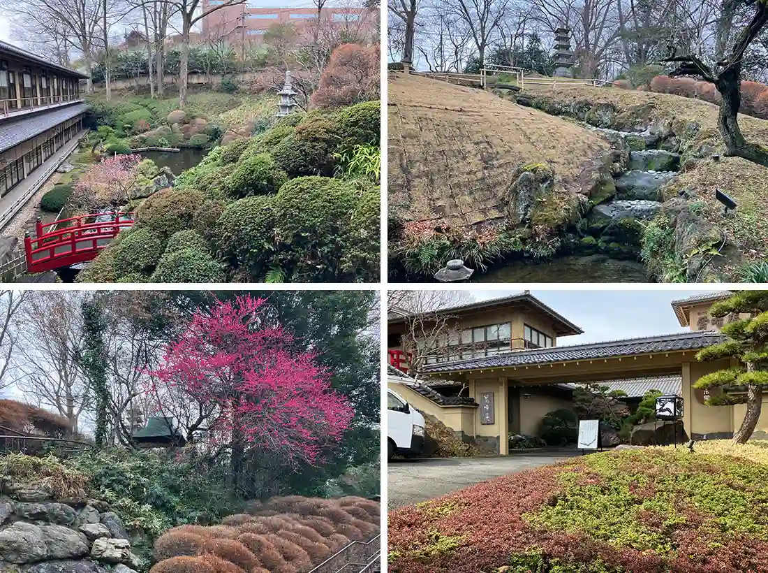 鶯啼庵様の庭園